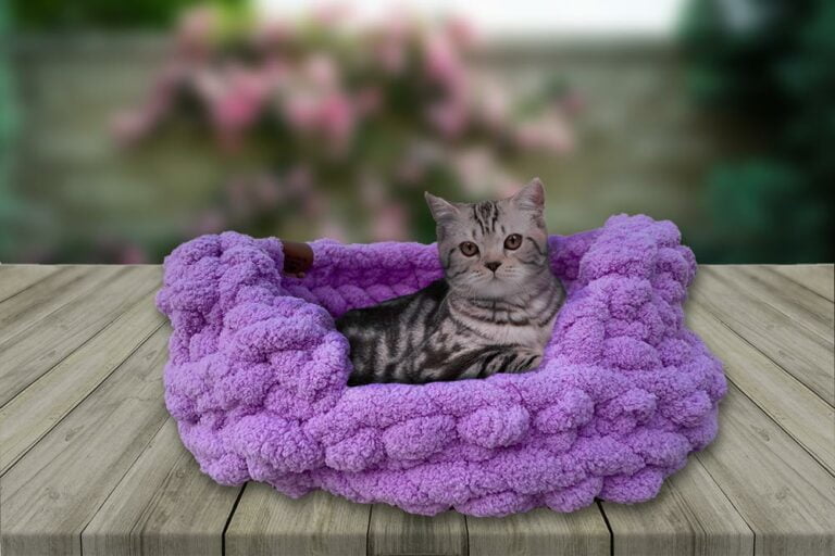 a cat sitting on a hand-knitted cat bed made with a comfy wool.